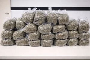 BEPI APREENDE MAIS DE 25 KG DE MACONHA APÓS PERSEGUIÇÃO EM ARCOVERDE